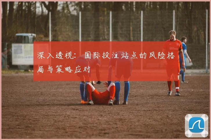 深入透视：国际投注站点的风险格局与策略应对