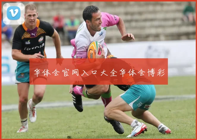 华体会官网入口大全华体会博彩