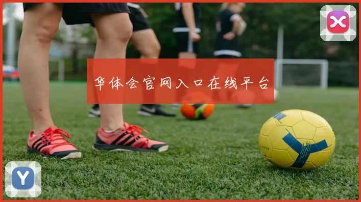 华体会官网入口在线平台