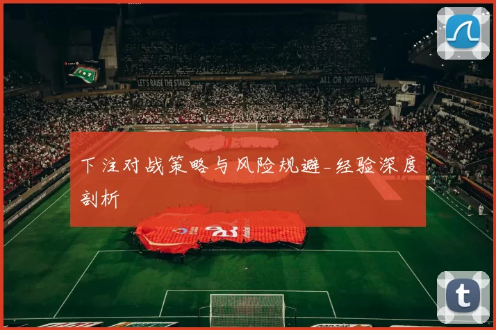 下注对战策略与风险规避_经验深度剖析