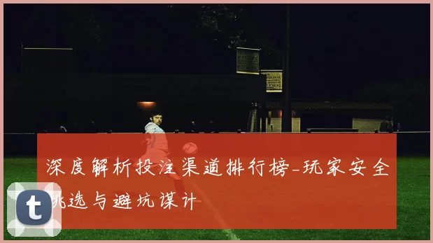 深度解析投注渠道排行榜_玩家安全挑选与避坑谋计