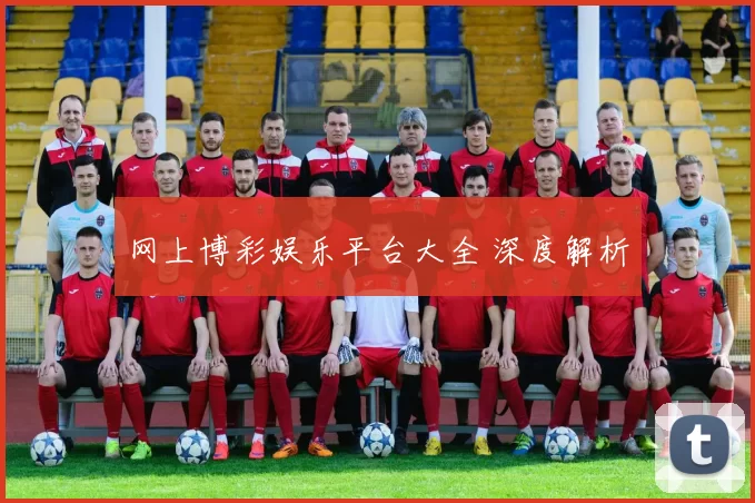 网上博彩娱乐平台大全 深度解析