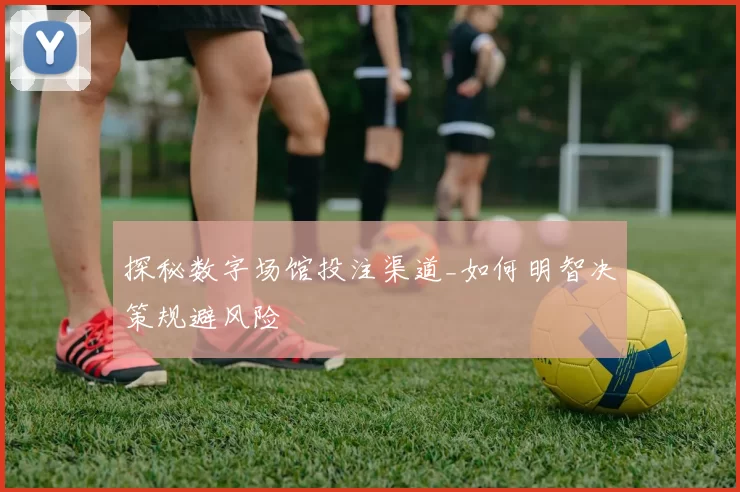 探秘数字场馆投注渠道_如何明智决策规避风险