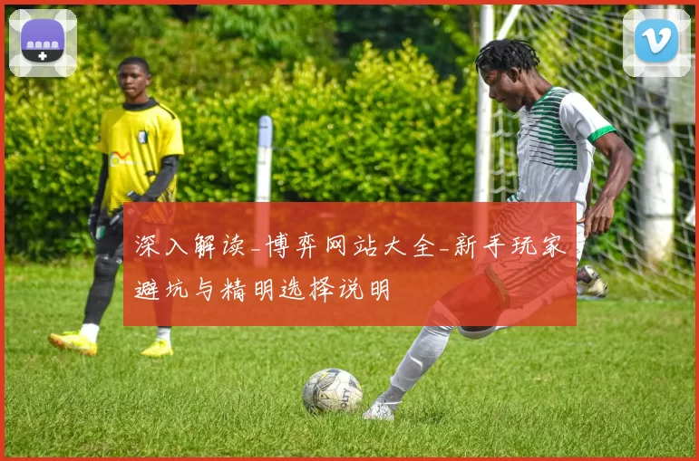 深入解读_博弈网站大全_新手玩家避坑与精明选择说明